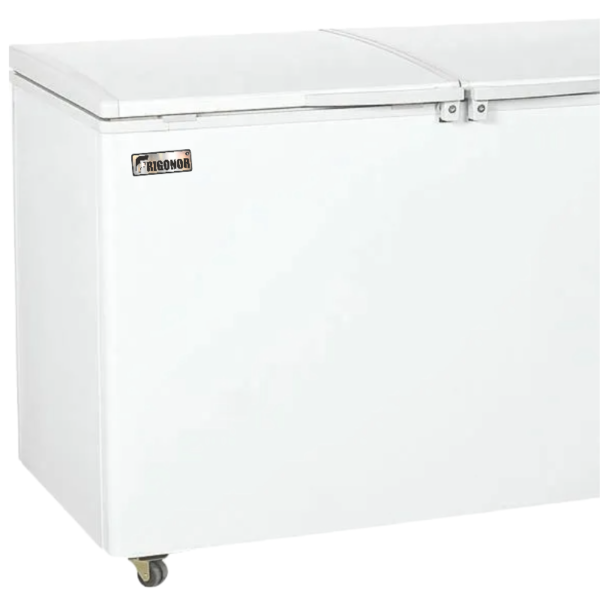 congelador bd525l fraigonor